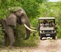 Nako Safari Lodge Your Trip To Us Nako Safari Lodge Your Trip To Us